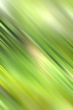 Bulanık yeşil arka plan hareket halinde. Kamera hareketi.