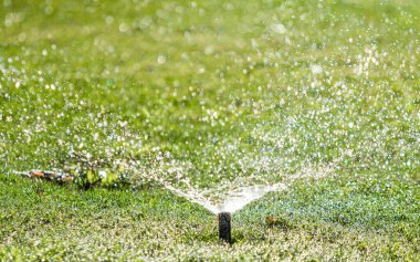 Sulama Sistemi Yeşil çimenleri suluyor, bulanık arkaplan