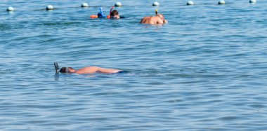 Maskeli bir adam suyun yüzeyinde yüzer. Deniz Burnu.