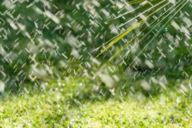 Sulama Sistemi Yeşil çimenleri suluyor, bulanık arkaplan