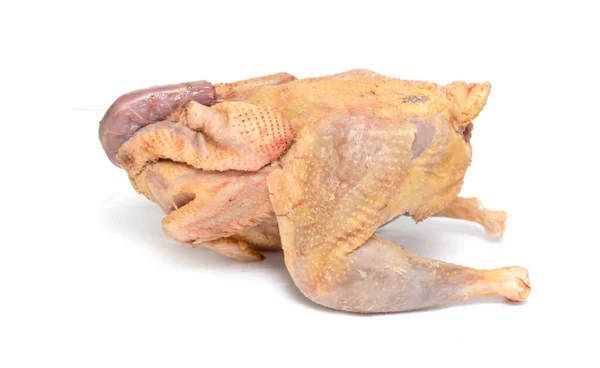 Ακατέργαστο Σφάγιο Κοτόπουλου Απομονωμένο Λευκό Φόντο — Φωτογραφία Αρχείου
