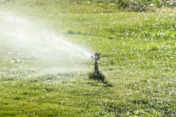 Bevattningssystem Bevattning Grönt Gräs Suddig Bakgrund — Stockfoto