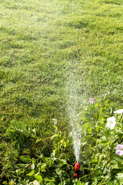 Irrigation System Watering Green Grass Blurred Background — Stock Photo, Image