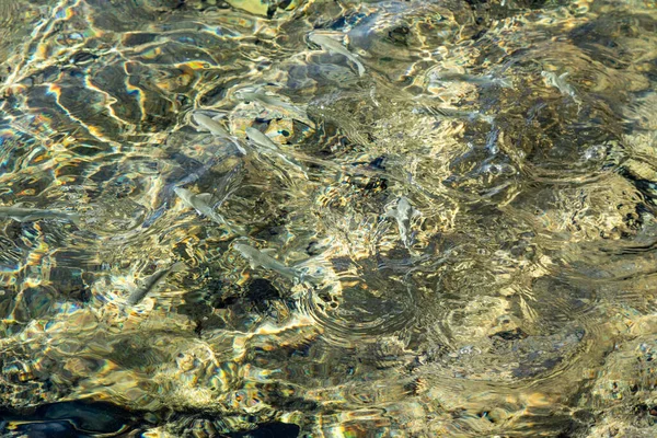 Air Laut Jernih Dengan Riak Yang Tidak Terfokus Tekstur Latar — Stok Foto