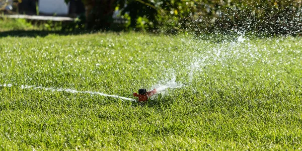Irrigation System Watering Green Grass Blurred Background — Stock Photo, Image