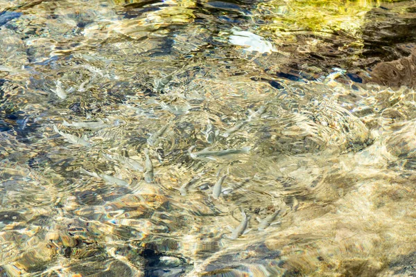 Air Laut Jernih Dengan Riak Yang Tidak Terfokus Tekstur Latar — Stok Foto