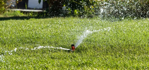 Bevattningssystem Bevattning Grönt Gräs Suddig Bakgrund — Stockfoto