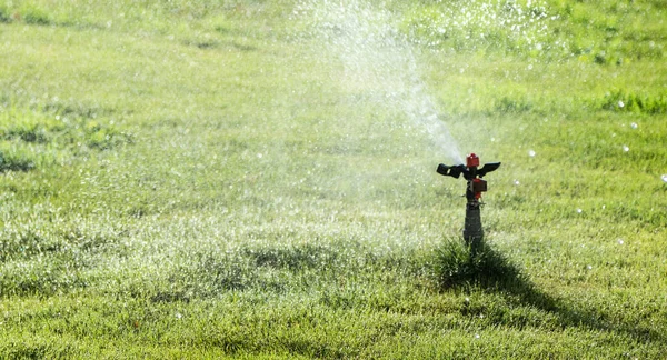 Irrigation System Watering Green Grass Blurred Background — Stock Photo, Image