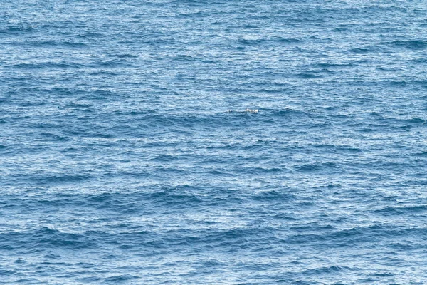 Denizin Arka Planı Ufuk Çizgisine Bakan Klasik Mavi Deniz — Stok fotoğraf