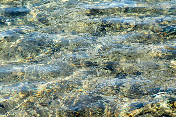 Fische Auf Der Wasseroberfläche Meer Defokussierter Wasserhintergrund — Stockfoto