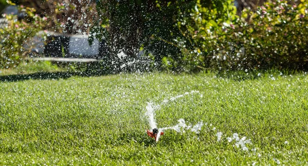 Irrigation System Watering Green Grass Blurred Background — Stock Photo, Image