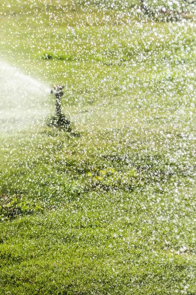 Irrigation System Watering Green Grass Blurred Background — Stock Photo, Image