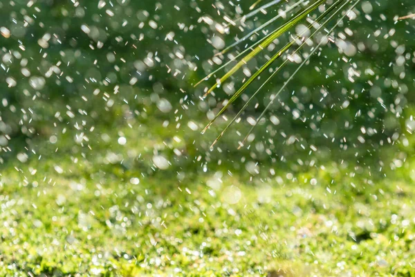 Sistema Irrigação Rega Grama Verde Fundo Embaçado — Fotografia de Stock