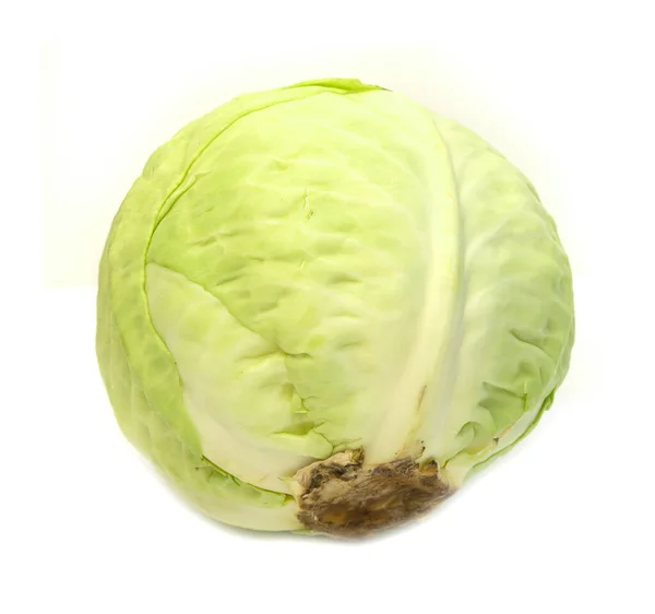 Кругла Голова Капусти Ізольована Білому Тлі Біла Капуста Вегетаріанська Їжа — стокове фото