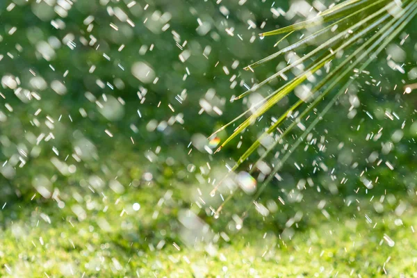 Sistema Irrigação Rega Grama Verde Fundo Embaçado — Fotografia de Stock