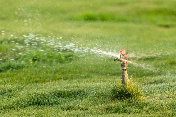 Bewässerungssystem Bewässerung Des Grünen Grases Verschwommener Hintergrund — Stockfoto