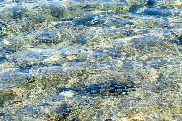 Helder Zeewater Met Onscherpe Rimpelingen Achtergrondtextuur Van Water — Stockfoto