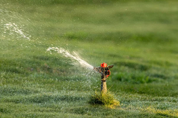 Sistema Irrigação Rega Grama Verde Fundo Embaçado — Fotografia de Stock