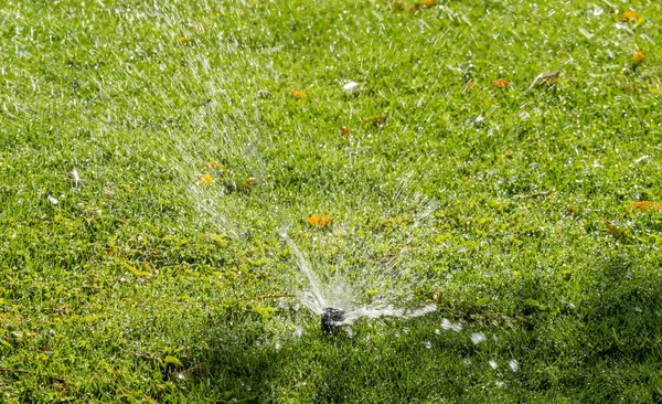 Sistema Irrigação Rega Grama Verde Fundo Embaçado — Fotografia de Stock