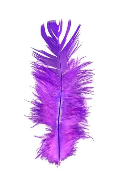 Feather Bird White Background Bright Colored Feathers — Stock Photo, Image