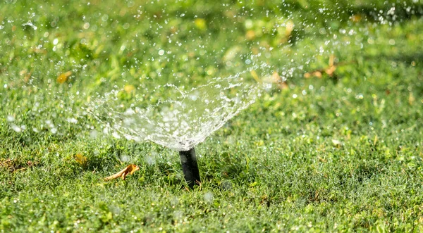 灌漑システム緑の草に水をやり 背景をぼかした — ストック写真