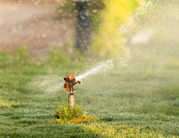 Bevattningssystem Bevattning Grönt Gräs Suddig Bakgrund — Stockfoto