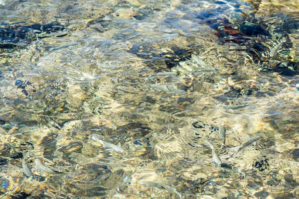 Helder Zeewater Met Onscherpe Rimpelingen Achtergrondtextuur Van Water — Stockfoto