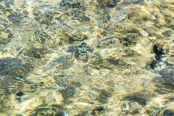 Clear Sea Water Defocused Ripples Background Texture Water — Stock Photo, Image