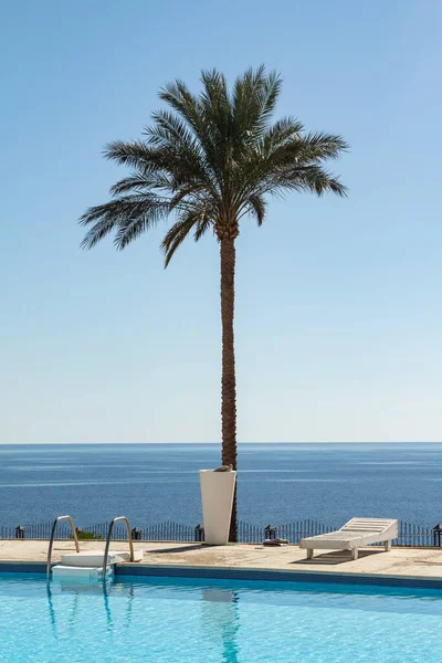 青い空 水の背景に美しいプールは 海を見下ろす 豪華な熱帯のビーチ 海景休息の概念 — ストック写真