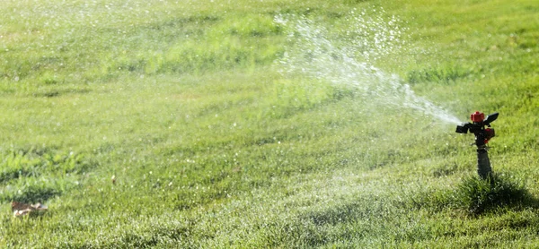 Sistema Irrigação Rega Grama Verde Fundo Embaçado — Fotografia de Stock