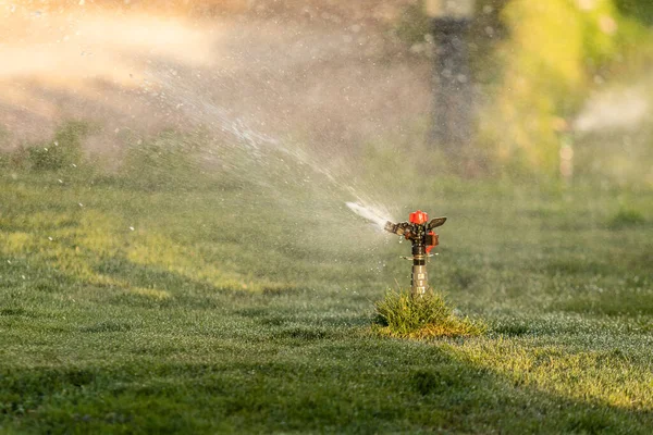 灌漑システム緑の草に水をやり 背景をぼかした — ストック写真