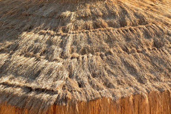 Парасольки Сухих Пальмових Гілок Тлі Моря Вид Зверху — стокове фото