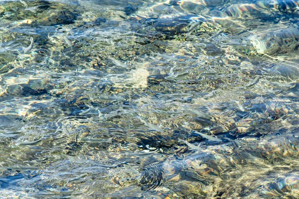Clear sea water, with defocused ripples, background texture of water.