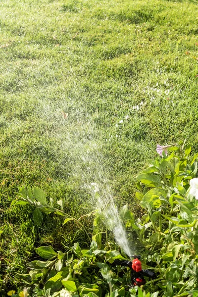 Irrigation System Watering Green Grass Blurred Background — Stock Photo, Image