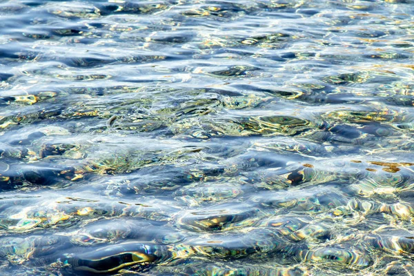 Ikan Ikan Permukaan Air Laut Latar Belakang Air Yang Tidak — Stok Foto