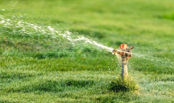 Irrigation System Watering Green Grass Blurred Background — Stock Photo, Image