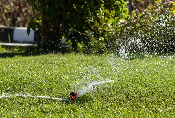 Irrigation System Watering Green Grass Blurred Background — Stock Photo, Image