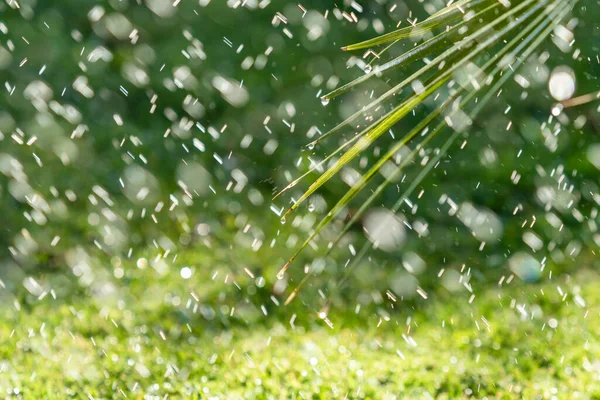 Sistema Irrigação Rega Grama Verde Fundo Embaçado — Fotografia de Stock