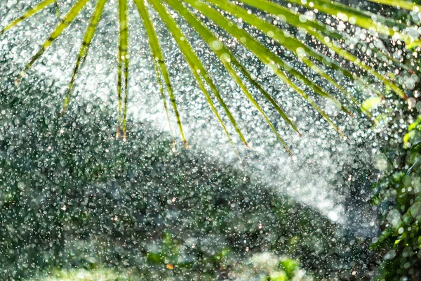 Zavlažovací Systém Zavlažování Zelené Trávy Rozmazané Pozadí — Stock fotografie