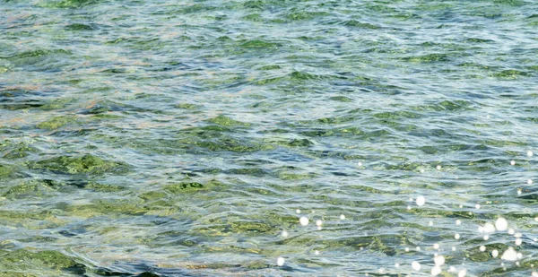 Achtergrond Van Zee Klassieke Blauwe Zee Met Een Perspectief Horizon — Stockfoto