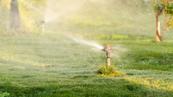 Sistema Irrigazione Innaffiare Erba Verde Sfondo Sfocato — Foto Stock