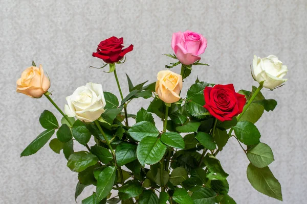 一束美丽的玫瑰花 — 图库照片