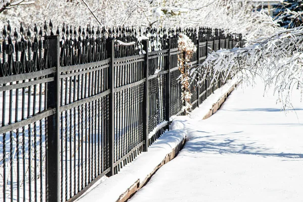 Gard Metalic Forjat Zăpadă Parcul Iarnă Peisaj Iarnă — Fotografie, imagine de stoc