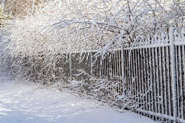 Kış parkındaki karda metal dövmeli çitler, kış manzarası..