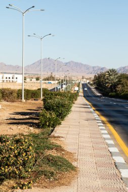 Otoyol boyunca yeşil çimenli palmiye yolu.