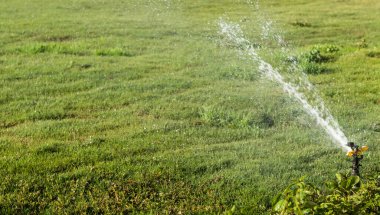 Sulama Sistemi Yeşil çimenleri suluyor, bulanık arkaplan