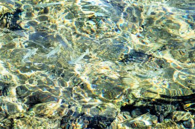 Net deniz suyu, çözülmüş dalgalanmalar, arka plan su dokusu.