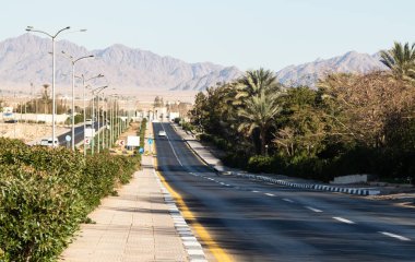 Otoyol boyunca yeşil çimenli palmiye yolu.