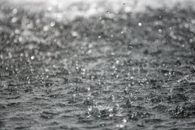 Bulanık arka plan ile arka planda sıçraması su büyük damla