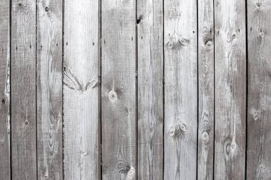 Doku. Arkaplan olarak eski gri ahır tahtası.